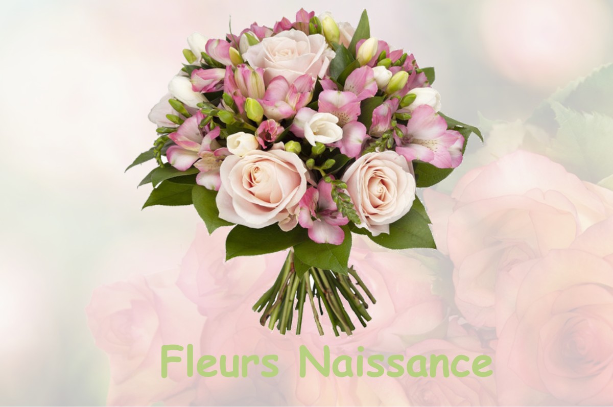 fleurs naissance BAREN