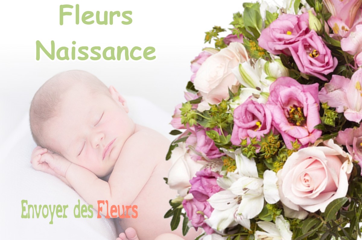 lIVRAISON FLEURS NAISSANCE à BAREN